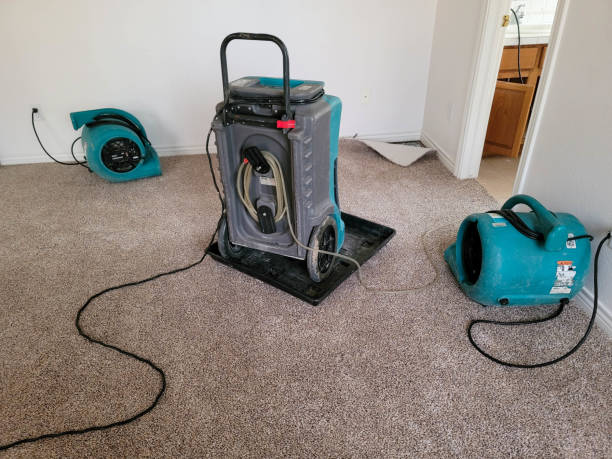 Trusted Harpersville, AL Water damage restoration Experts