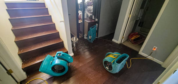 Best Mold removal after water damage  in Harpersville, AL