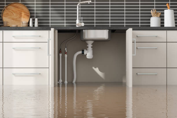 Best Water damage restoration near me  in Harpersville, AL